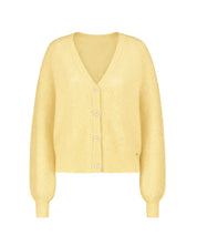 Elsie Cardigan, Lemonade